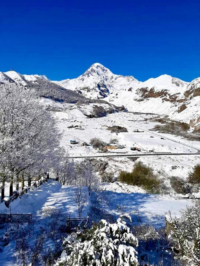 Kazbegi Inn Kültér fotó